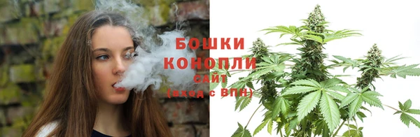 spice Белокуриха