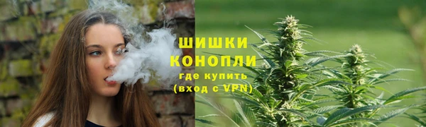 трава Беломорск