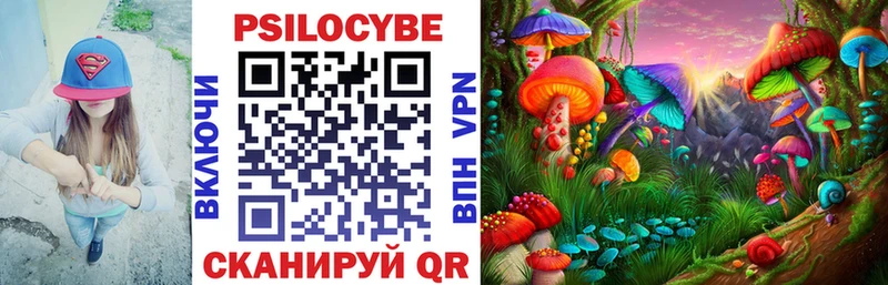Псилоцибиновые грибы Cubensis Дятьково